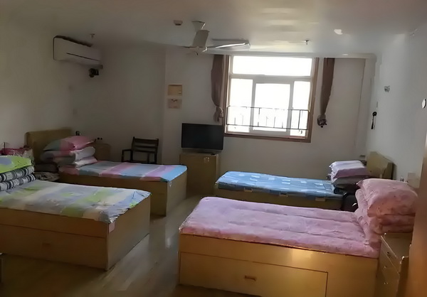 成仙了别来找我